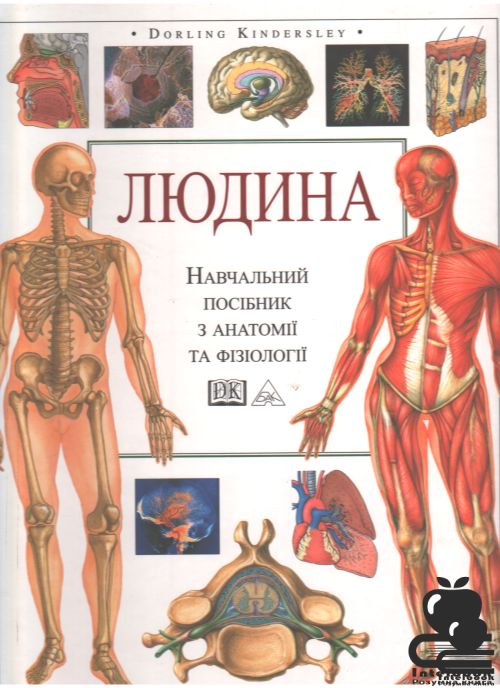 Людина.Навчальний посібник з анатомії та фізіології