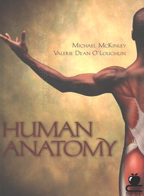 HUMAN  ANATOMY